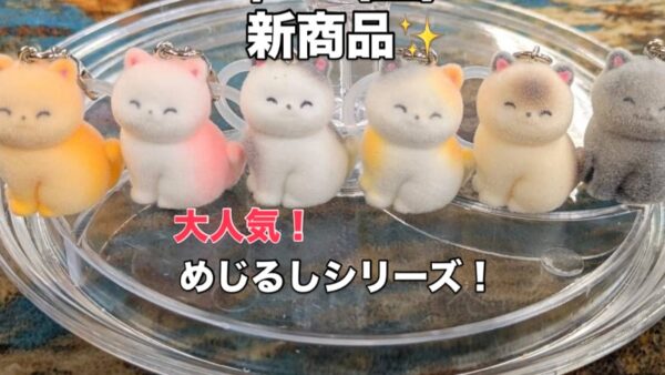 大人気！めじるしシリーズ入荷今とっても大人気のめじるしシリーズが入荷！シール交換もめじるし交換も一緒にしちゃおうカラフルに揃えたり推し色に揃えたり楽しみ方いっぱい😎ぜひたぬきの星に遊びにきてね！全店で取り揃えてます🏻お待ちしております！#新商品 #めじるしチャーム #入荷 #たぬきの星